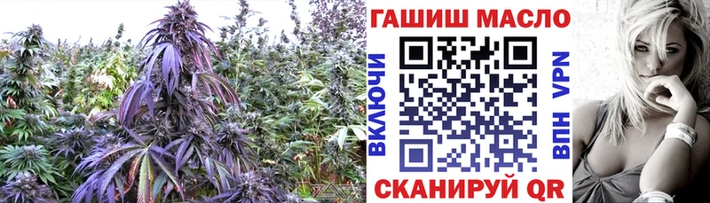 Дистиллят ТГК вейп  Магас 